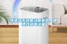 养猪场手提电动喷雾器，便携式消毒设备