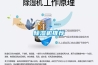草莓视频黄色在线观看机推荐
