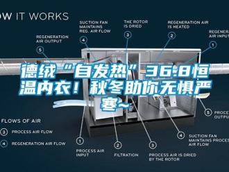 知识百科德绒“自发热”36.8恒温内衣！秋冬助你无惧严寒~