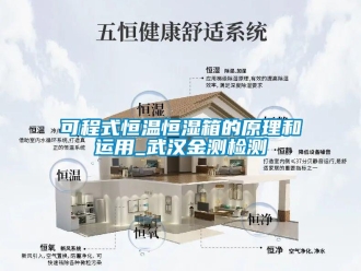 知识百科可程式恒温恒湿箱的原理和运用_武汉金测检测