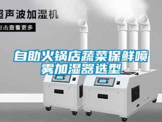 知识百科自助火锅店蔬菜保鲜喷雾加湿器选型