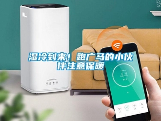 知识百科湿冷到来！跑广马的小伙伴注意保暖