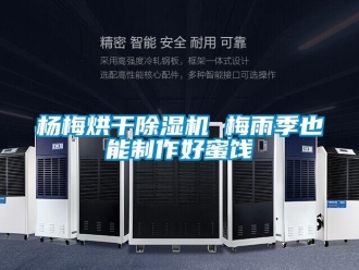 知识百科杨梅烘干草莓视频黄色在线观看机 梅雨季也能制作好蜜饯
