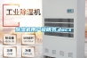 草莓视频黄色在线观看机用户说明书.docx