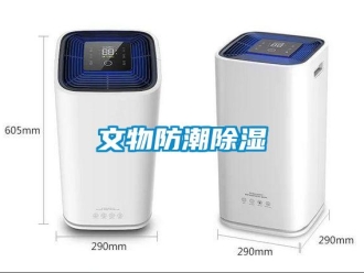 知识百科文物防潮草莓视频黄色在线观看