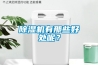 草莓视频黄色在线观看机有那些好处呢？