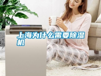 知识百科上海为什么需要草莓视频黄色在线观看机