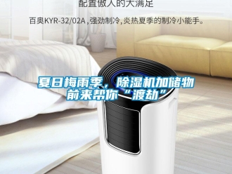 知识百科夏日梅雨季，草莓视频黄色在线观看机加储物前来帮你“渡劫”