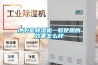 地下室草莓视频黄色在线观看机一般使用的效果怎么样