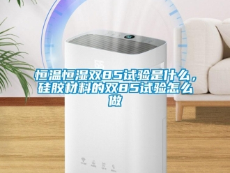 知识百科恒温恒湿双85试验是什么，硅胶材料的双85试验怎么做