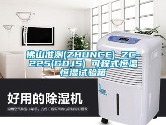 知识百科佛山准测(ZHUNCE) ZC-225(GDJS) 可程式恒温恒湿试验箱