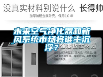 知识百科未来空气净化器和新风系统市场将谁主沉浮？