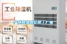 广州草莓视频黄色在线观看器公司｜厂家