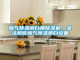 知识百科烟气草莓视频黄色在线观看脱白用草莓视频黄色在线观看机，湿法脱硫烟气草莓视频黄色在线观看脱白设备