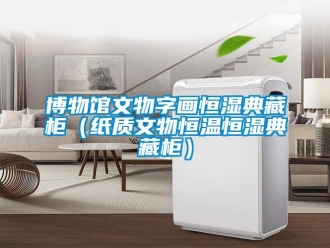 知识百科博物馆文物字画恒湿典藏柜（纸质文物恒温恒湿典藏柜）