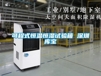 知识百科可程式恒温恒湿试验箱 深圳库宝