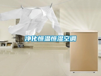 知识百科净化恒温恒湿空调