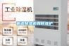 管道草莓视频黄色在线观看机如何维护