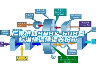 知识百科厂家供应SHBY-60B型标准恒温恒湿养护箱