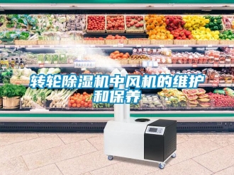 知识百科转轮草莓视频黄色在线观看机中风机的维护和保养