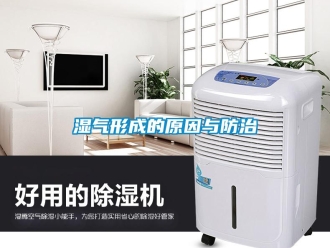 知识百科湿气形成的原因与防治
