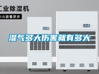 知识百科湿气多大伤害就有多大