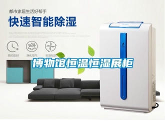 知识百科博物馆恒温恒湿展柜