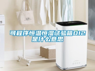 知识百科可程序恒温恒湿试验箱DI2是什么意思