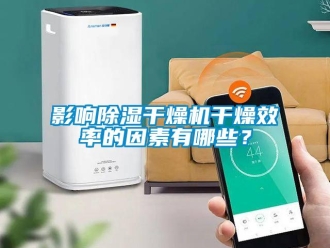 知识百科影响草莓视频黄色在线观看干燥机干燥效率的因素有哪些？