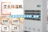 配电房工业草莓视频黄色在线观看机_重复