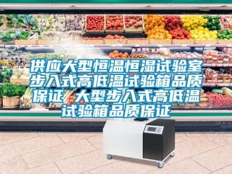 知识百科供应大型恒温恒湿试验室步入式高低温试验箱品质保证 大型步入式高低温试验箱品质保证