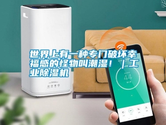 知识百科世界上有一种专门破坏幸福感的怪物叫潮湿！｜工业草莓视频黄色在线观看机
