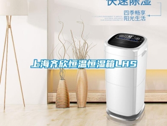 知识百科上海齐欣恒温恒湿箱LHS