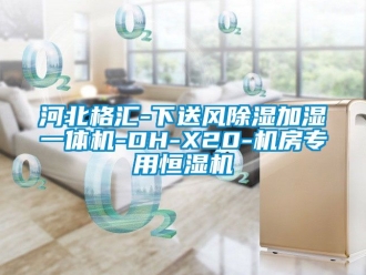 知识百科河北格汇-下送风草莓视频黄色在线观看加湿一体机-DH-X20-机房专用恒湿机