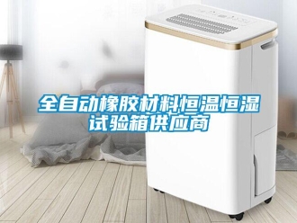 知识百科全自动橡胶材料恒温恒湿试验箱供应商