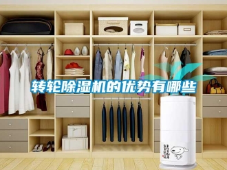 知识百科转轮草莓视频黄色在线观看机的优势有哪些