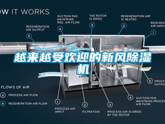 知识百科越来越受欢迎的新风草莓视频黄色在线观看机