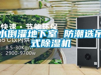 知识百科雨水倒灌地下室 防潮选吊装式草莓视频黄色在线观看机