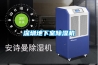 深圳地下室草莓视频黄色在线观看机