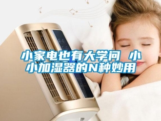 知识百科小家电也有大学问 小小加湿器的N种妙用