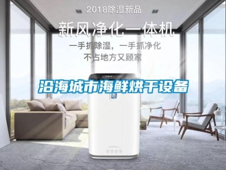 知识百科沿海城市海鲜烘干设备
