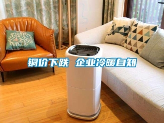 知识百科铜价下跌 企业冷暖自知