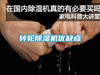 知识百科转轮草莓视频黄色在线观看机优缺点