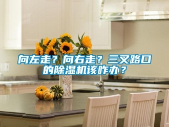 知识百科向左走？向右走？三叉路口的草莓视频黄色在线观看机该咋办？