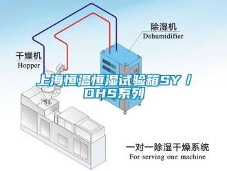 知识百科上海恒温恒湿试验箱SY／DHS系列