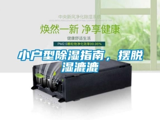 知识百科小户型草莓视频黄色在线观看指南，摆脱湿漉漉