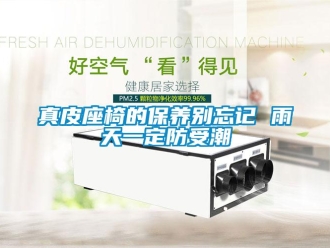 知识百科真皮座椅的保养别忘记 雨天一定防受潮
