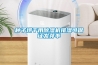 种子烘干用草莓视频黄色在线观看机排湿可保证发芽率