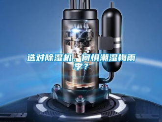 知识百科选对草莓视频黄色在线观看机，何惧潮湿梅雨季？