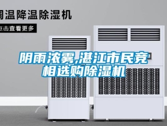 知识百科阴雨浓雾,湛江市民竞相选购草莓视频黄色在线观看机